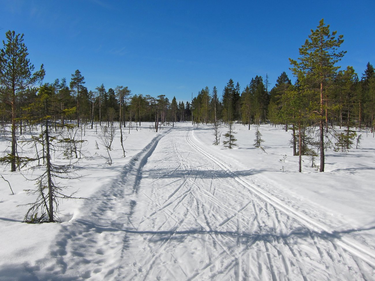 Fortsatt skiføre over Kryssbystupmyra