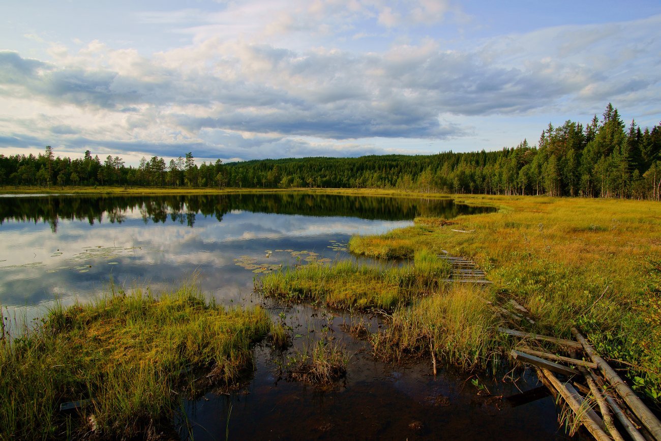 Fortsatt sommerlig ved Høvervatnet