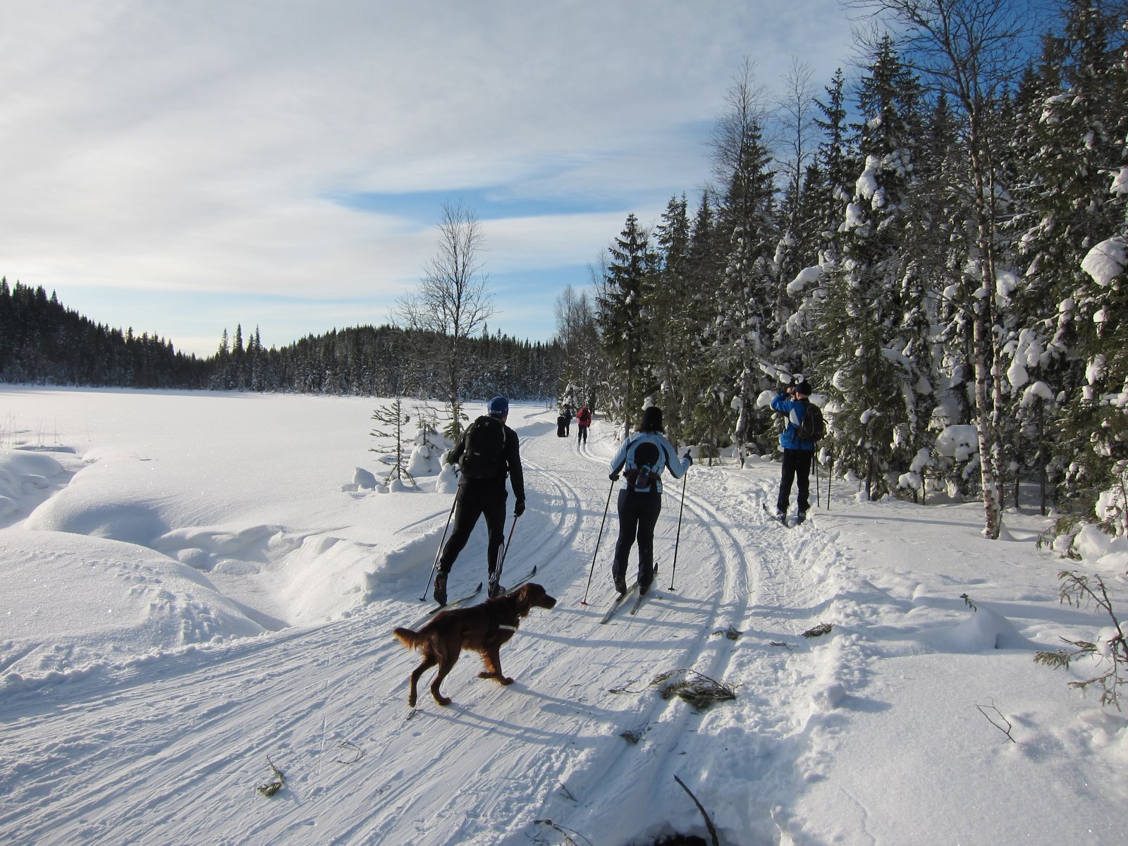 Fotopause ved Trantjern