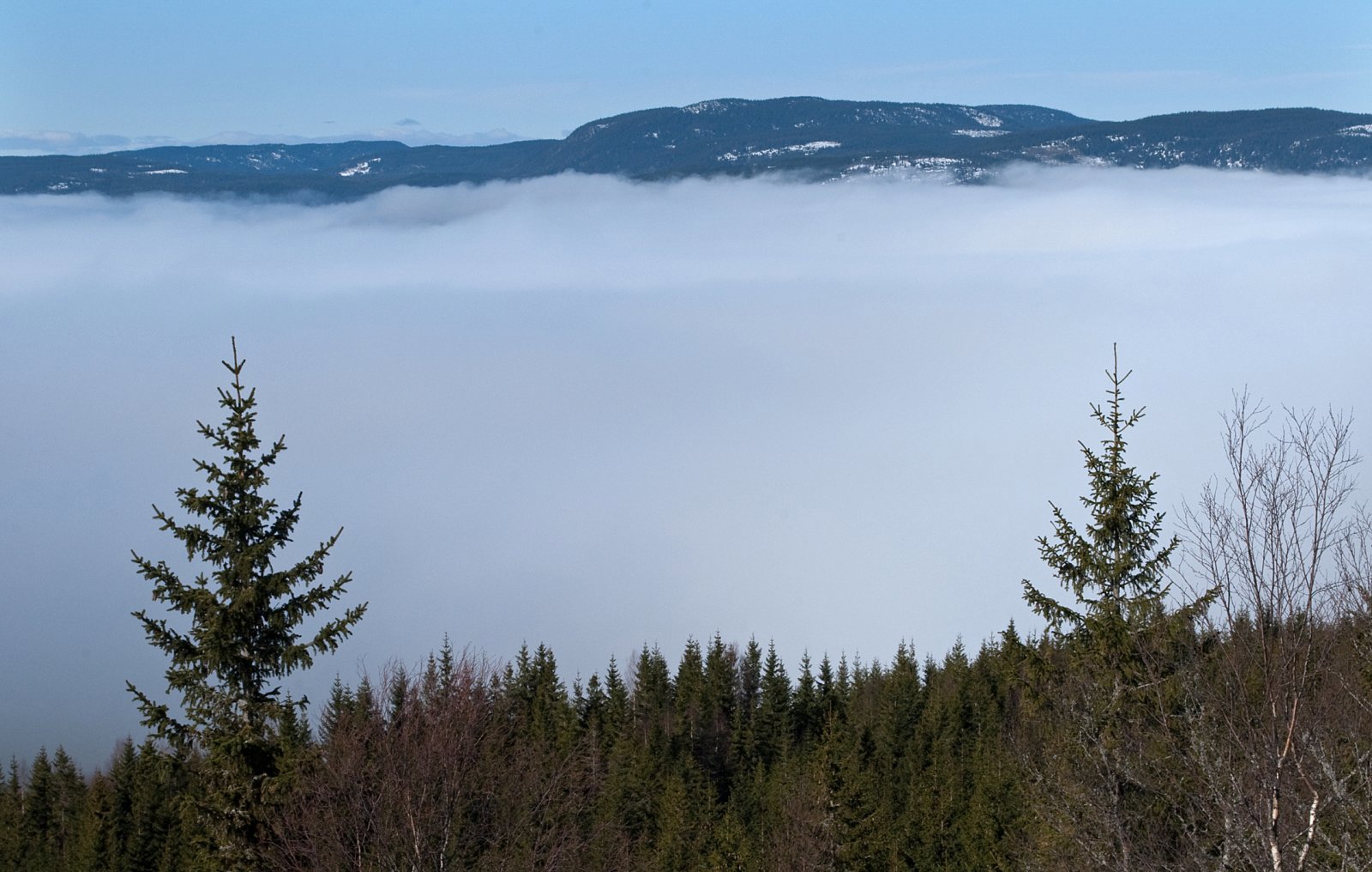 Fra Brenntoppen mot Fjellsjøkampen