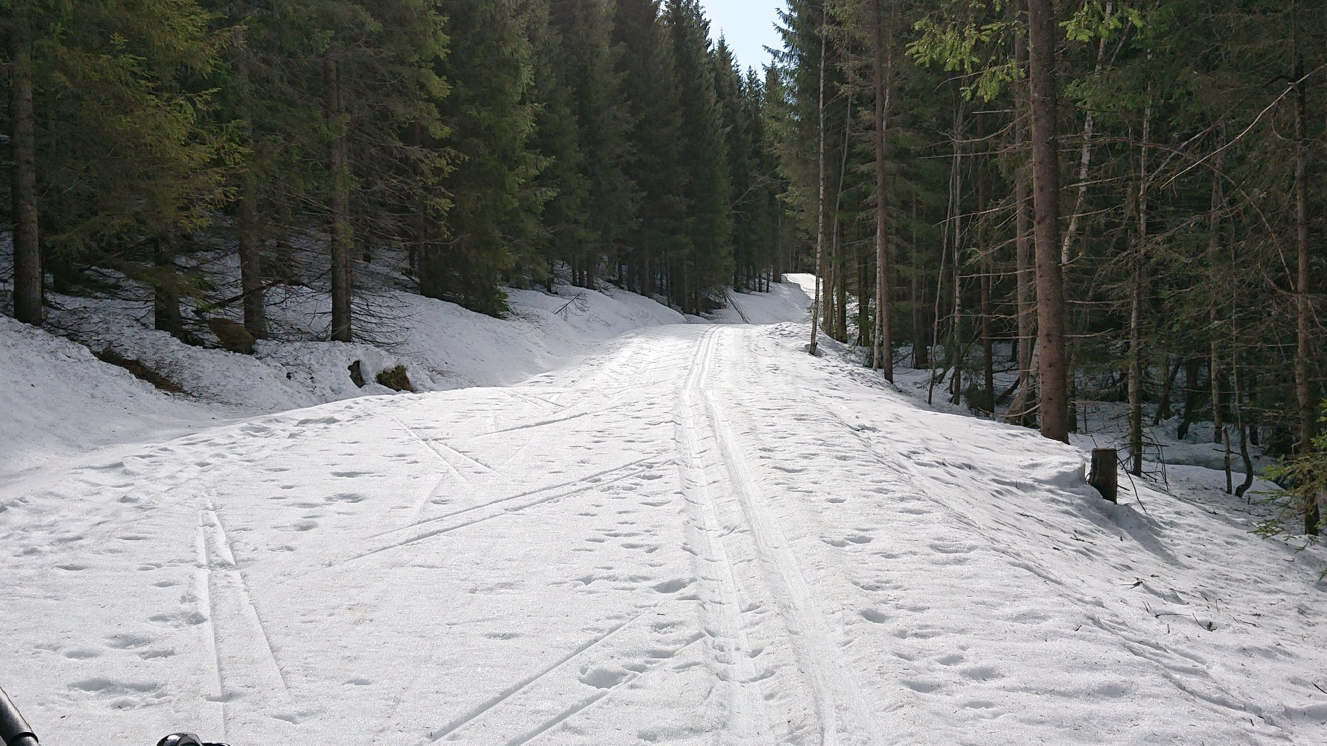 Fra løypa fra Brovoll til Snellingen 19. april