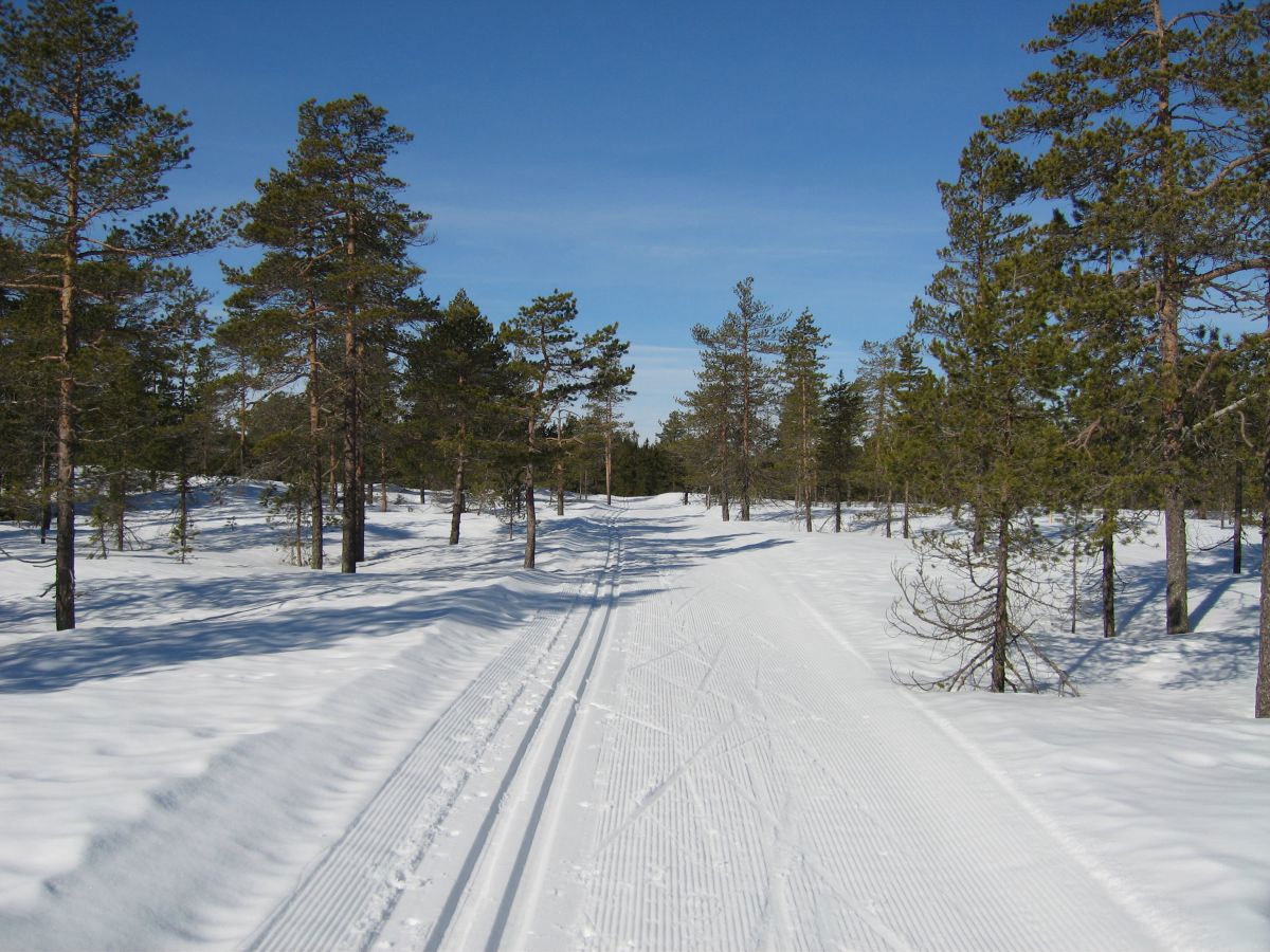 Fra løypa Storebekkhytta-Gampetjern-Løvlia