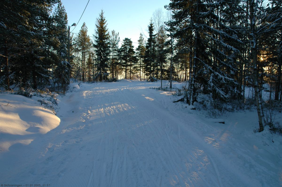 Fra lysløypa på Eineåsen