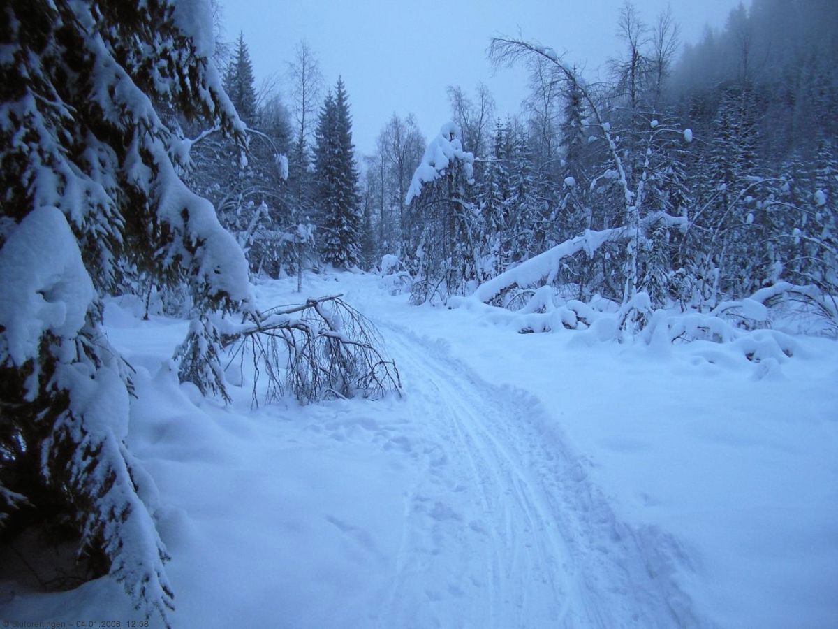 Fra Myrtjern mot Fortjern