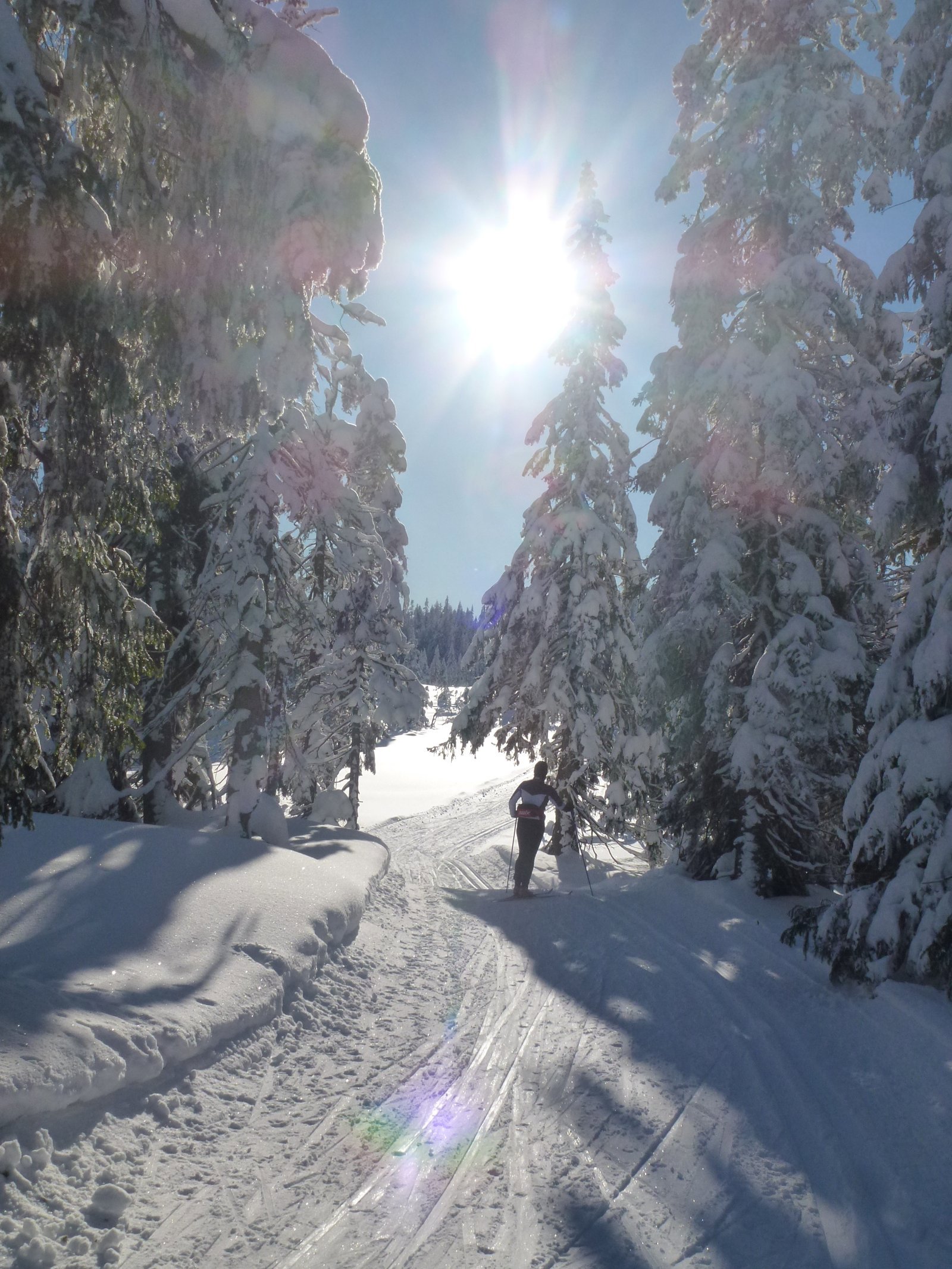 Fra Sjuputtane mot Marifjell i vintersol