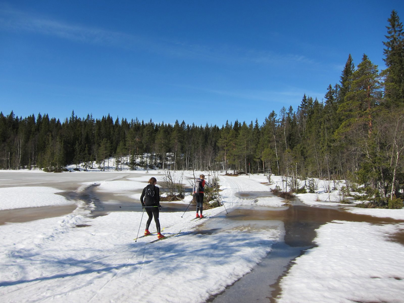 Fremdeles kan Gampetjern passeres på vei mot Løvlia