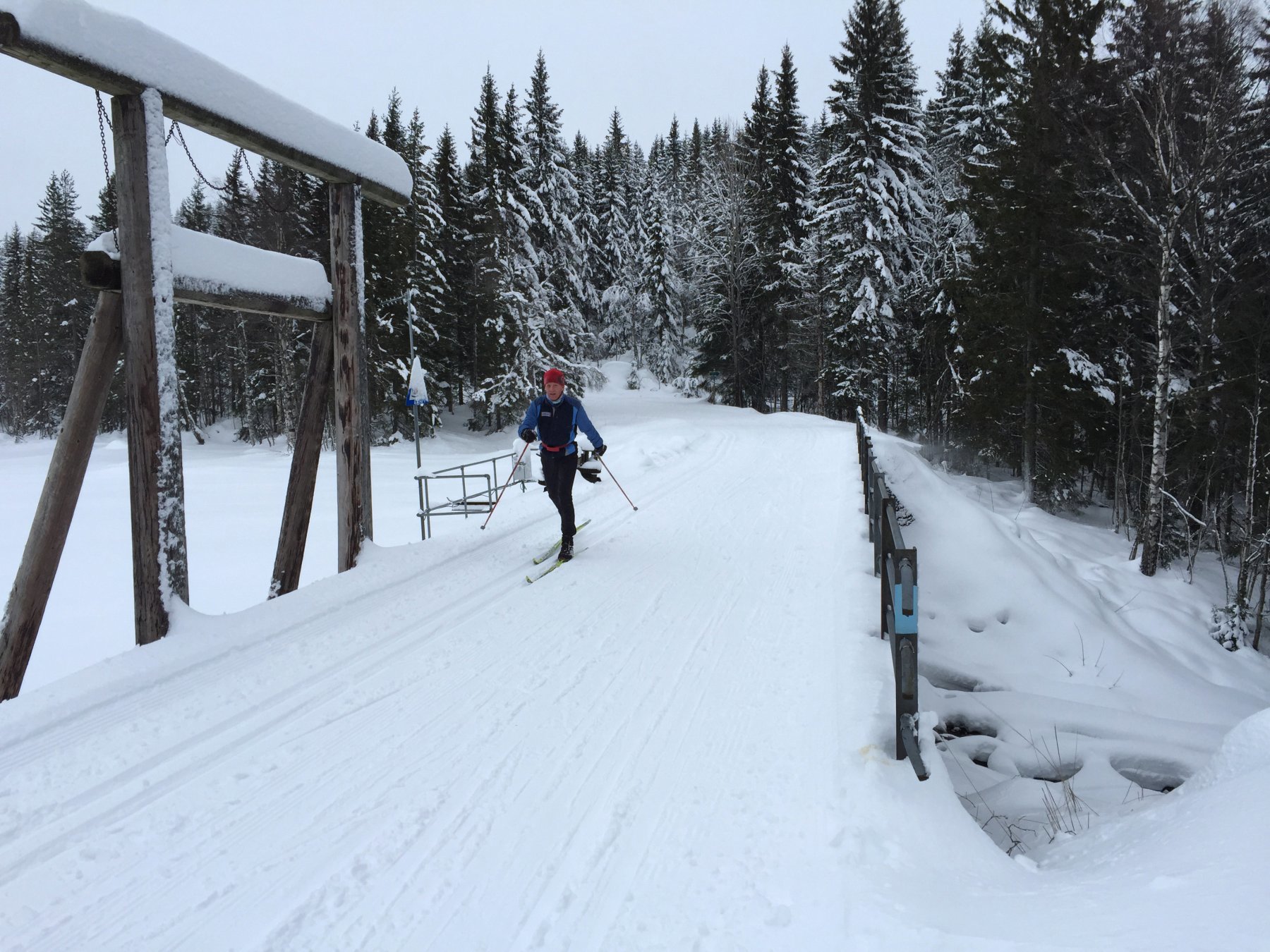 Frisk bris ved Helgeren dam