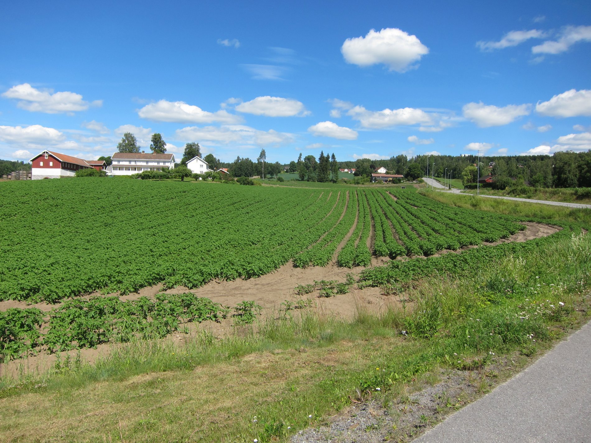 Frodig langs Kjølvegen