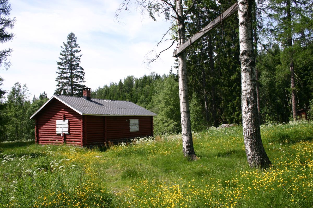 Frodig ved Djupdalskoia
