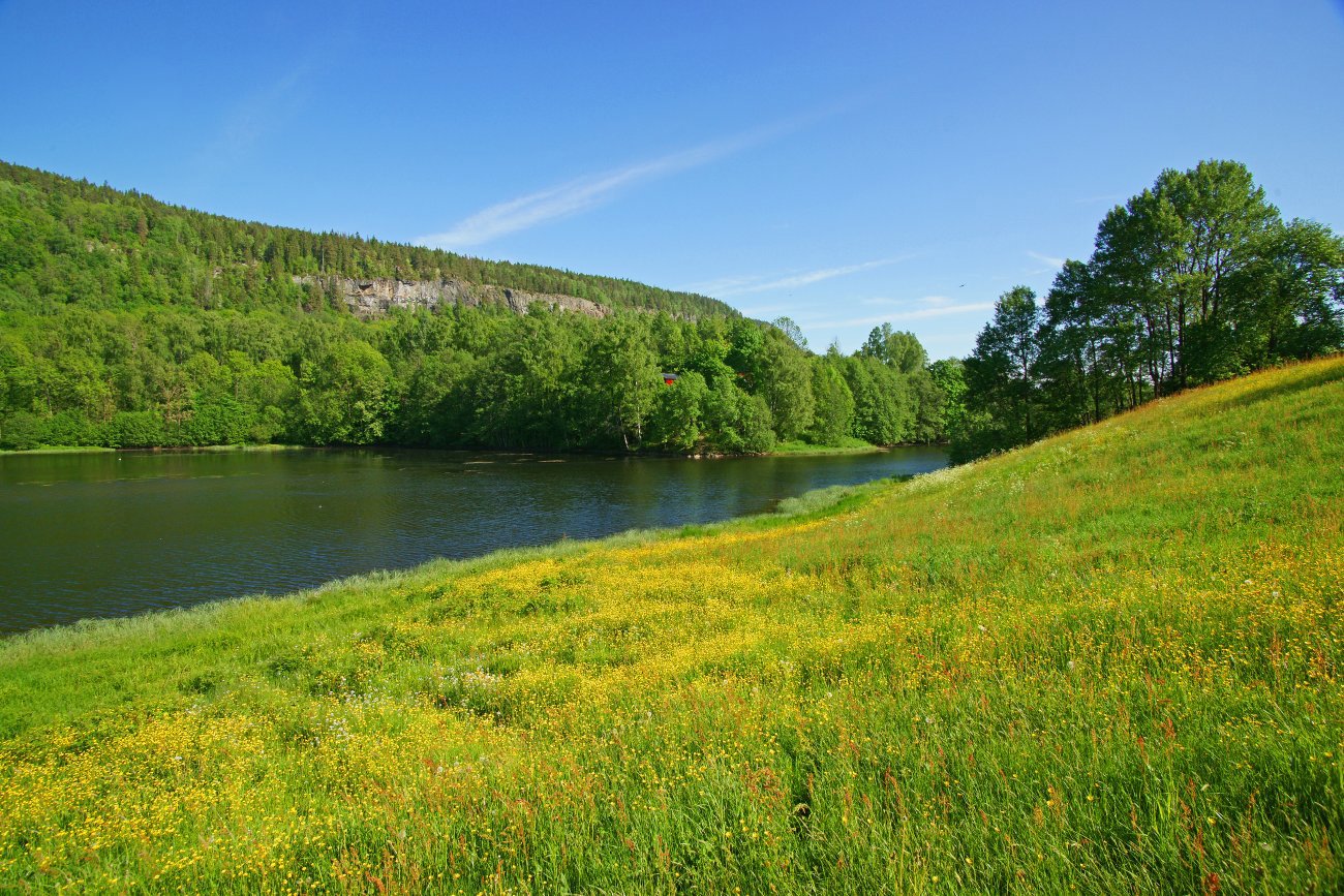 Frodig ved Glitredammen