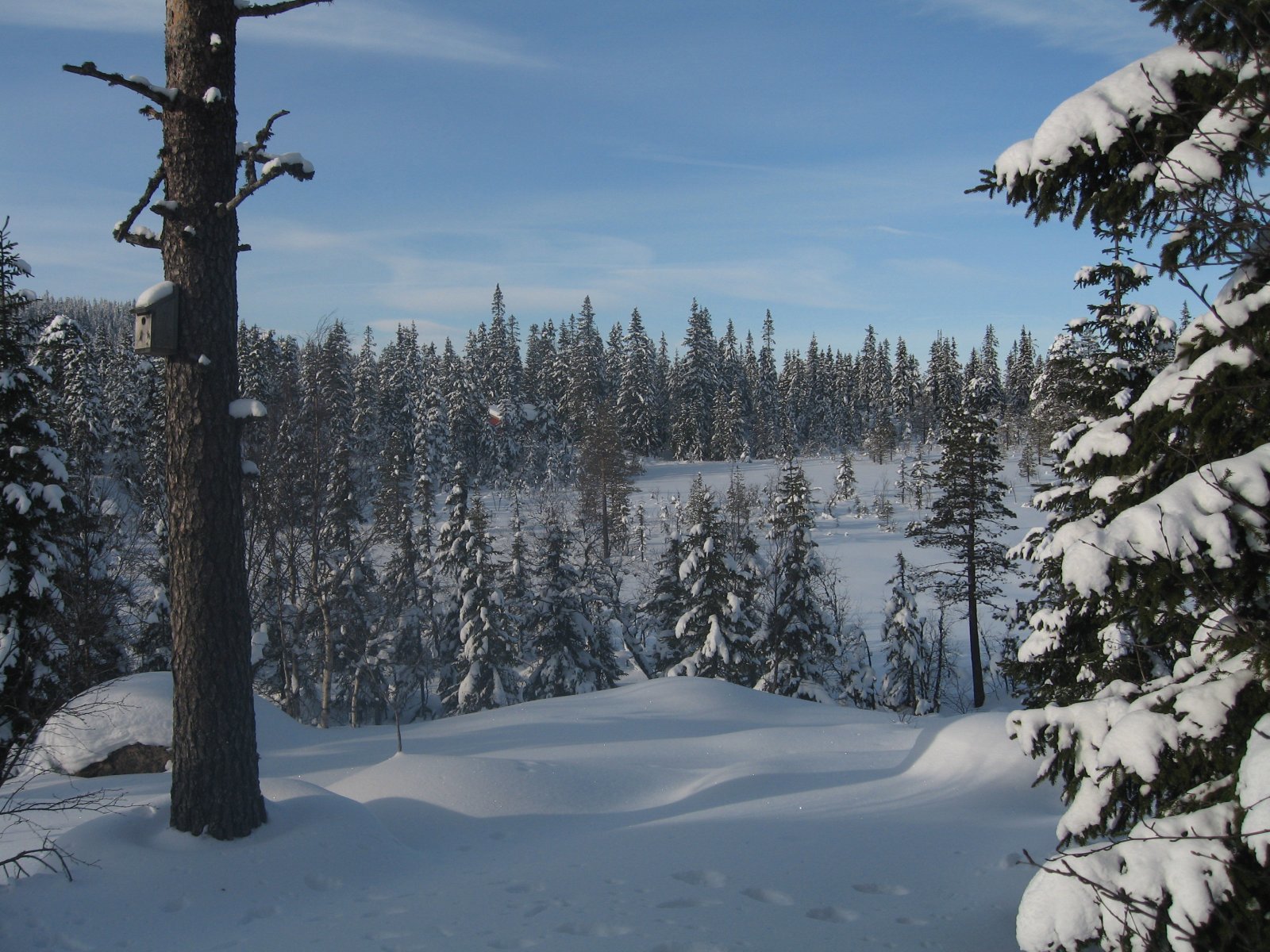 Fuglebolig med sjøutsikt