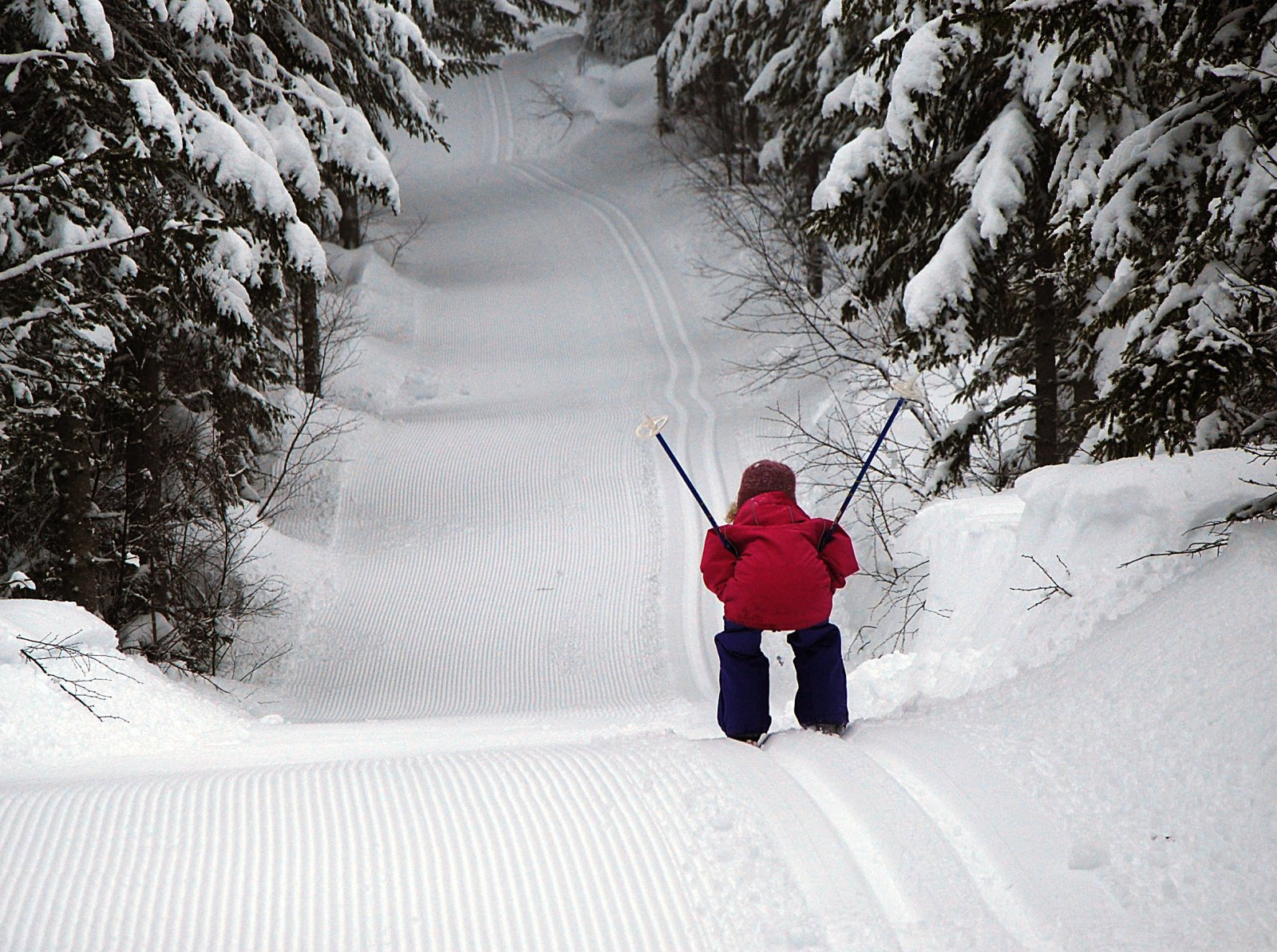 Full fart med nye ski