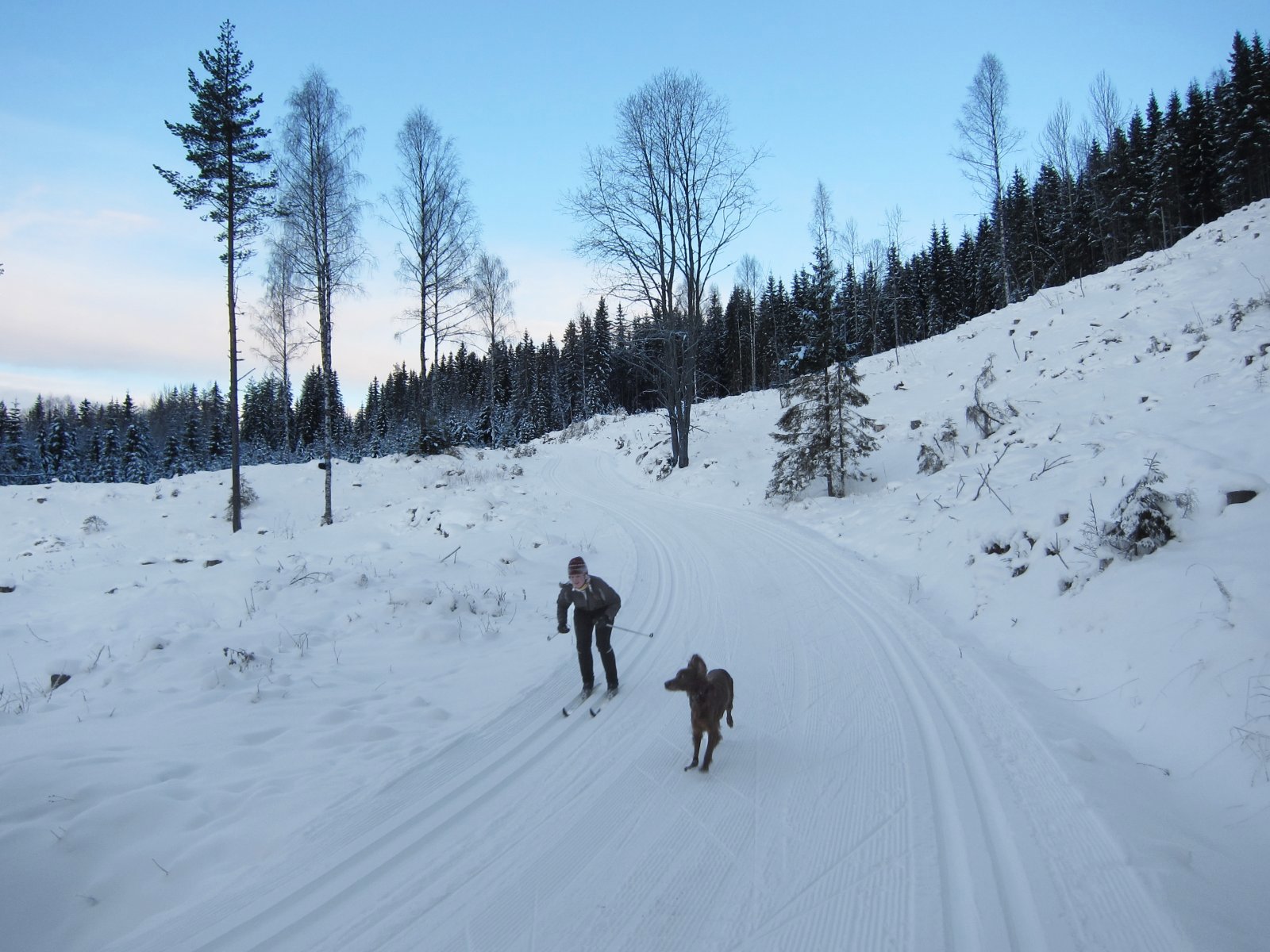 Full fart ned bakken