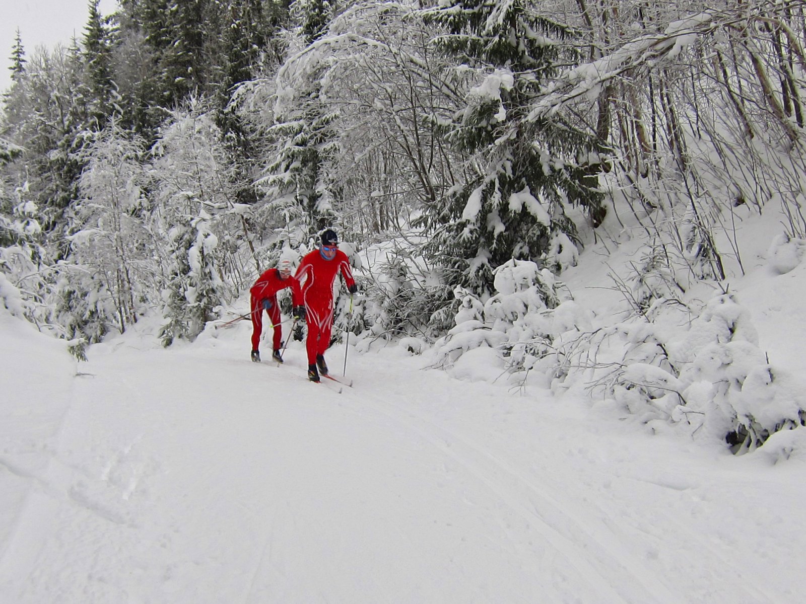 Full vinter i november