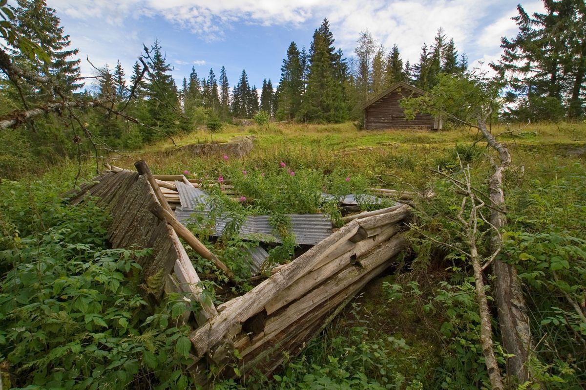 Game over på Finneflakseter