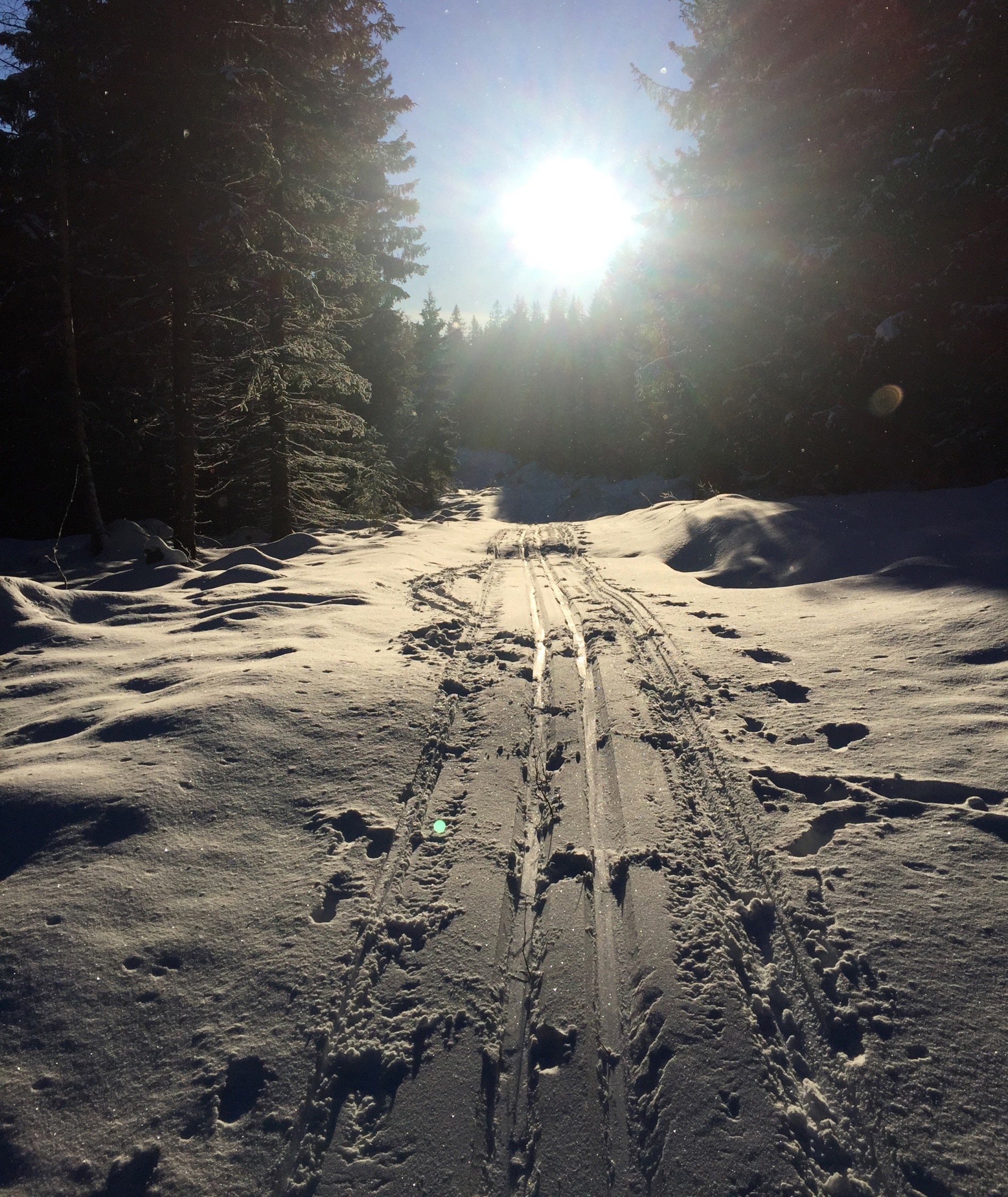 Gamle 50'n er foreløpig ikke preparert, men ganske fristende likevel