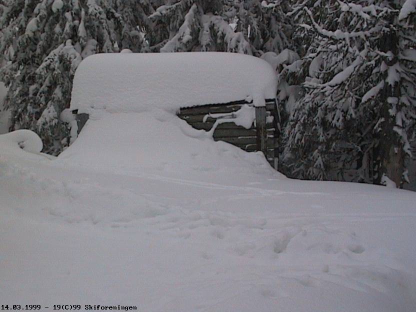 Gammel koie ved Svarttjerna på Ringkollplatået