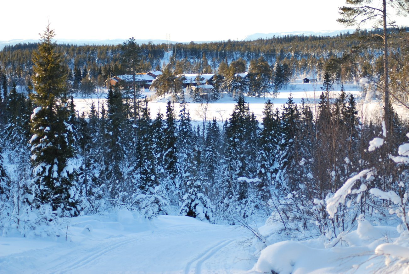 Gammelsæterbakken ved Lygna