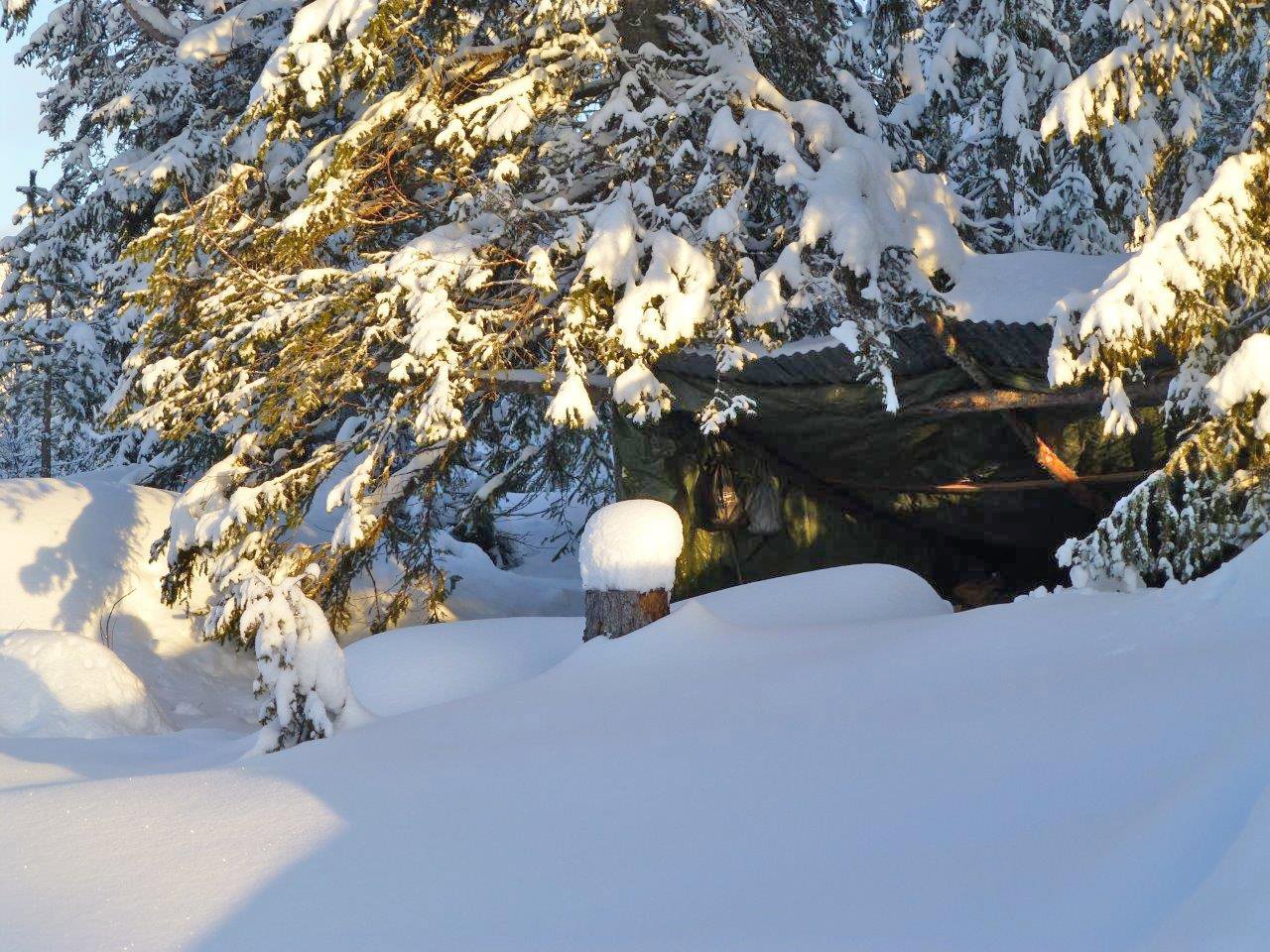 Gapahuk ved Holmtjernet