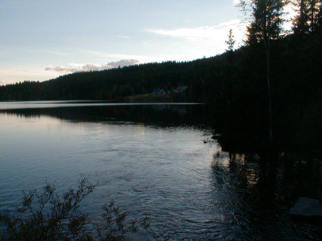 Gården Kalven (ved Sandungen)