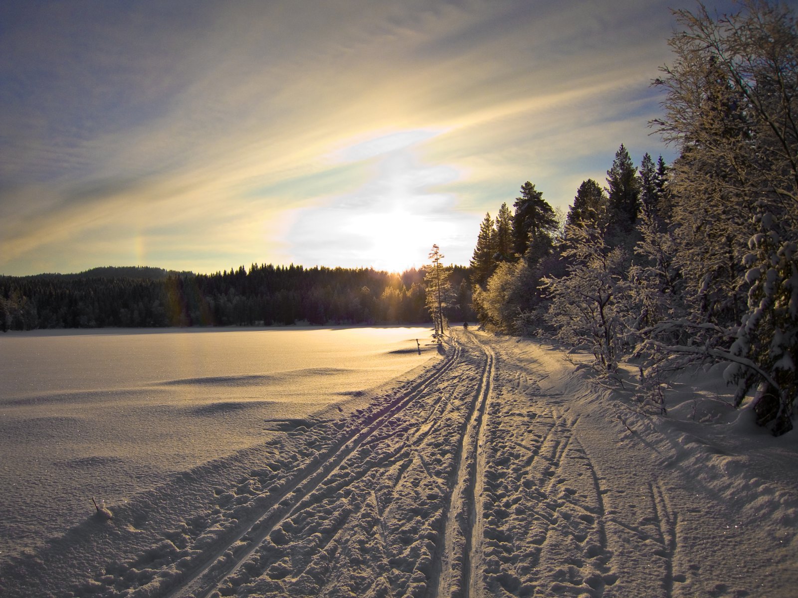 Gjennom Osmarka i motlys