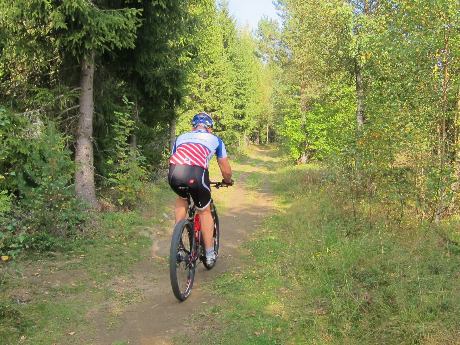 Gjennom skogen mot Nordkisa