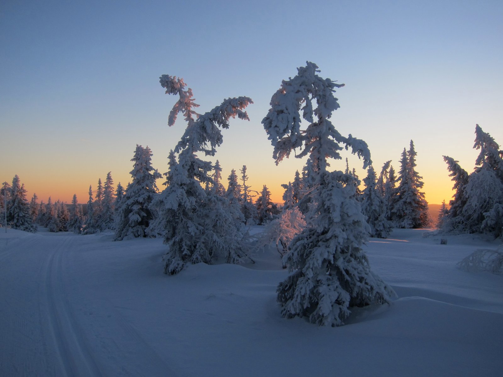 Gjennom trolsk landskap