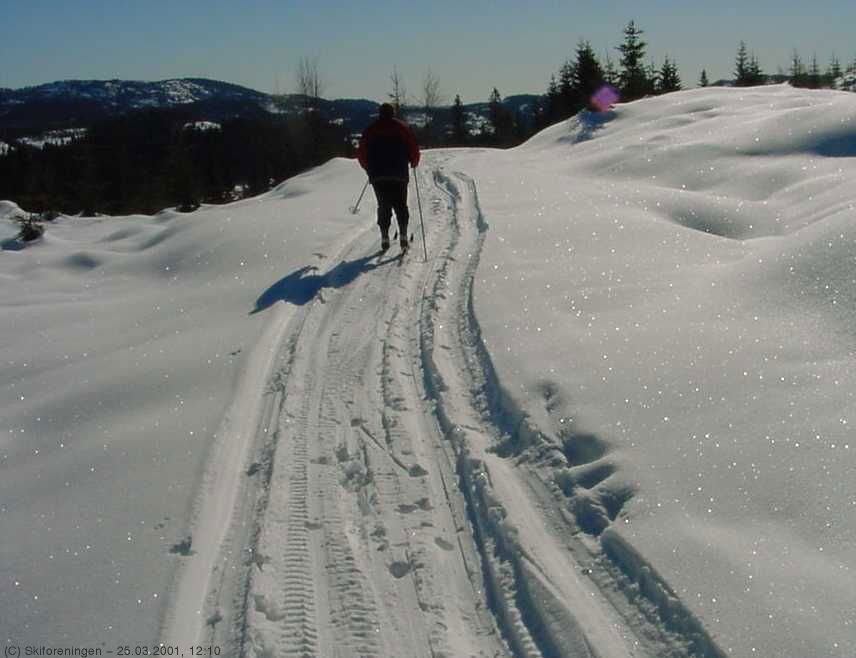 Glitrende skiføre på vei ned mot Svarten