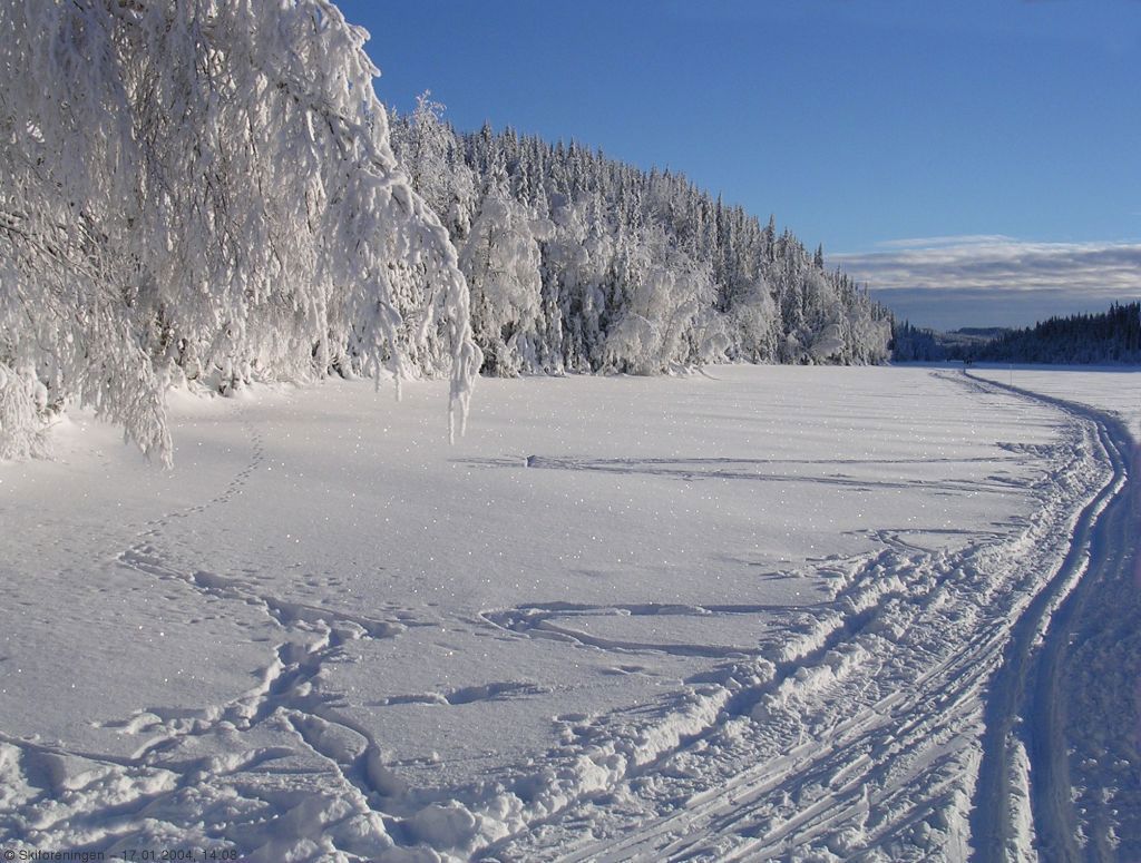 Gnistrende forhold i scooterløypen på Nordre Heggelivann
