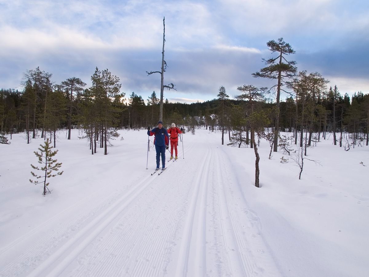 God glid over Kryssbystupmyra