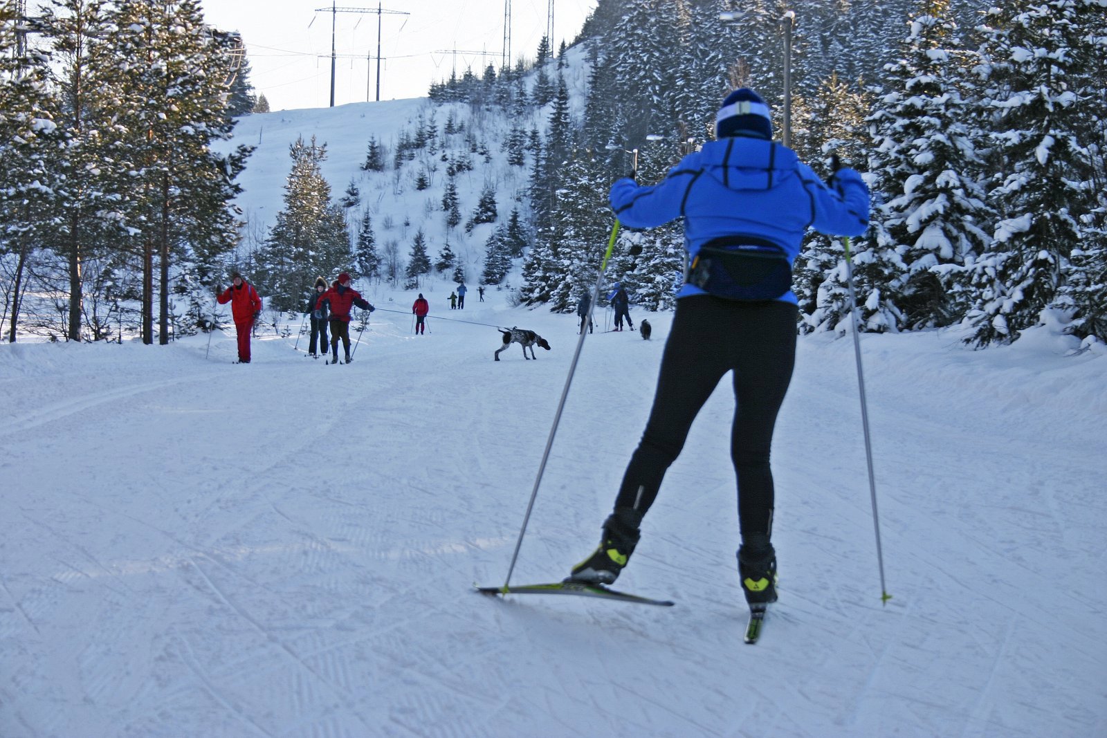 God plass i Bjønndalen