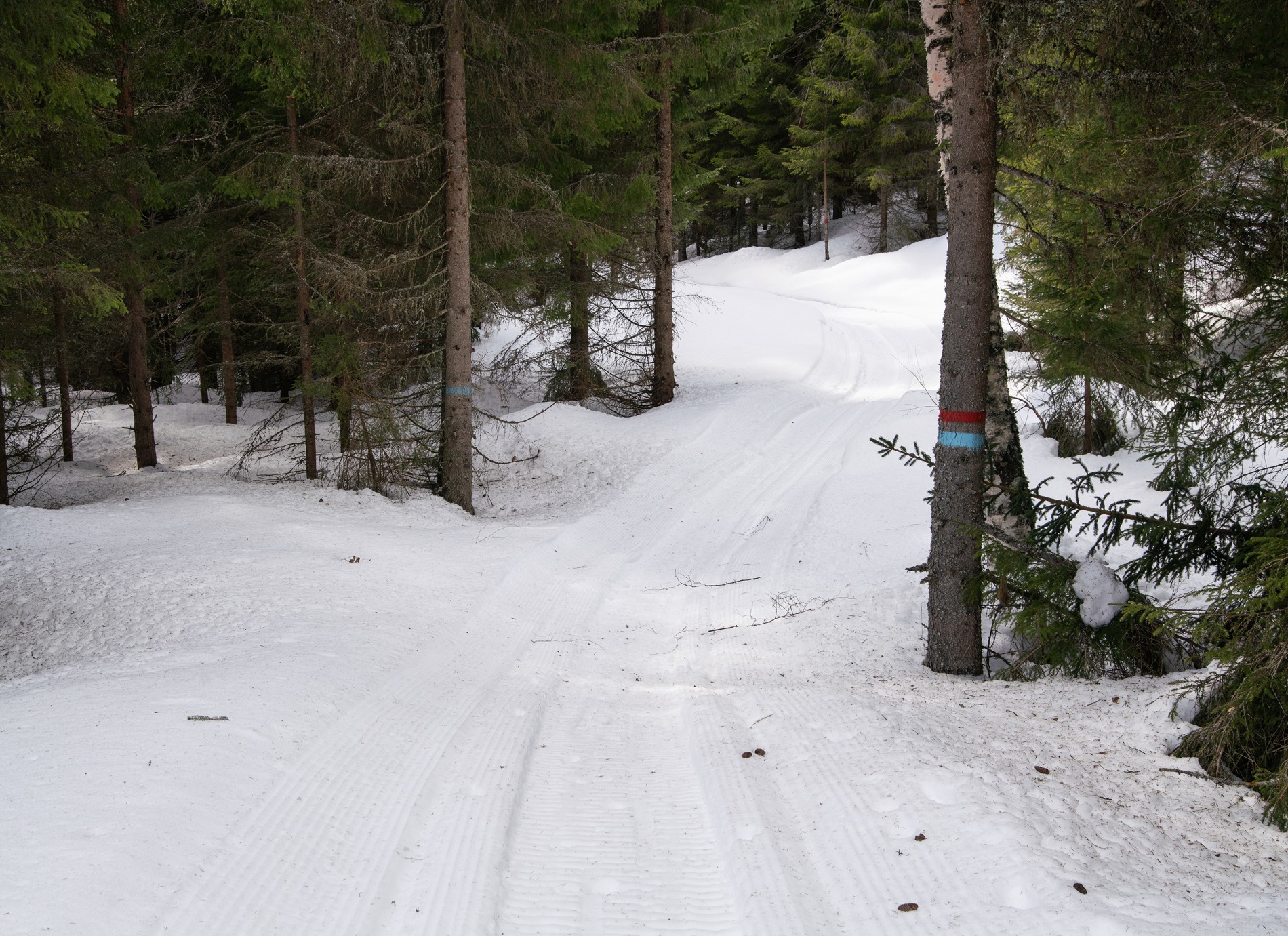 God plass i scootertraseen