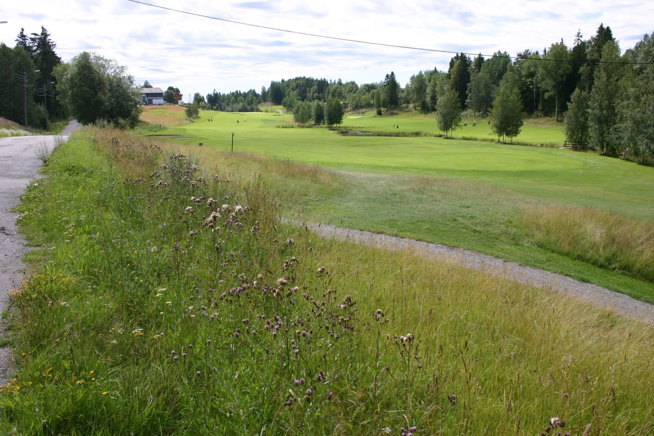God plass på Greverud