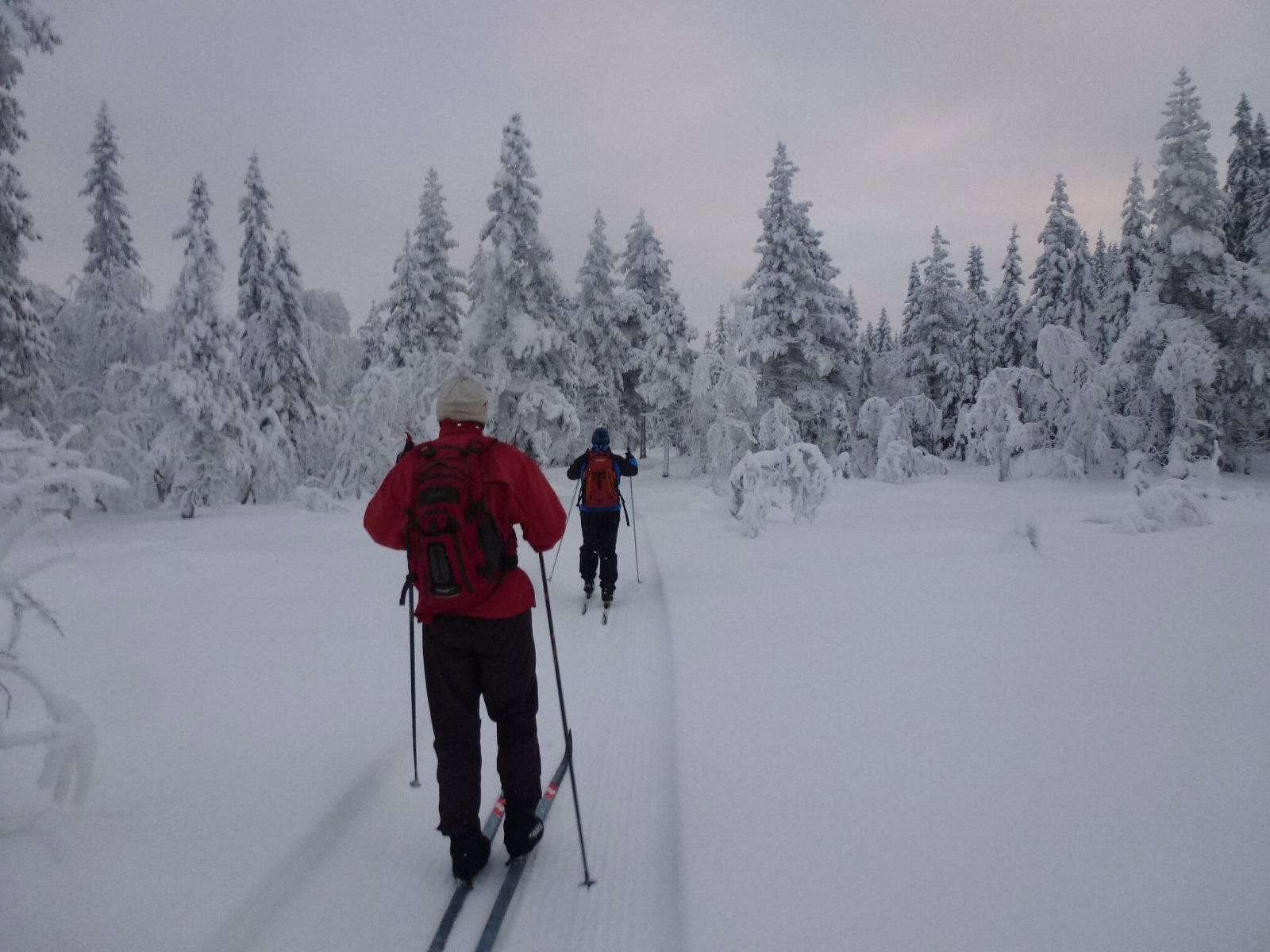 Gode scooterspor ved Langtjern
