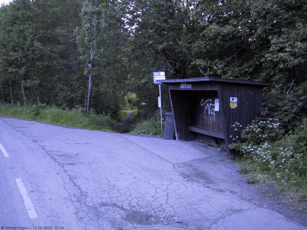 Godt gammeldags leskur på Hammeren