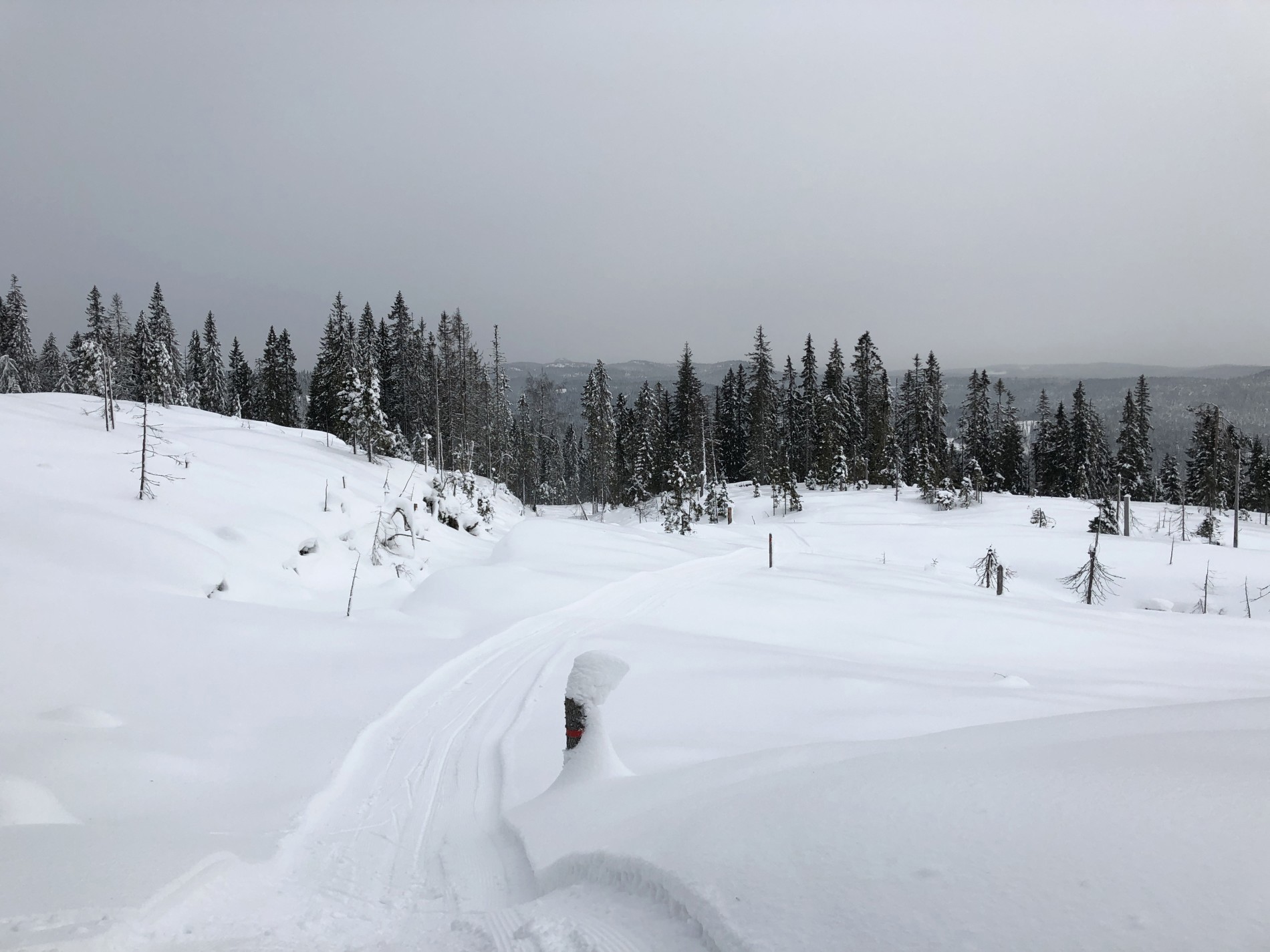 Grå dag i scooterløypa til Fjellstadhytta