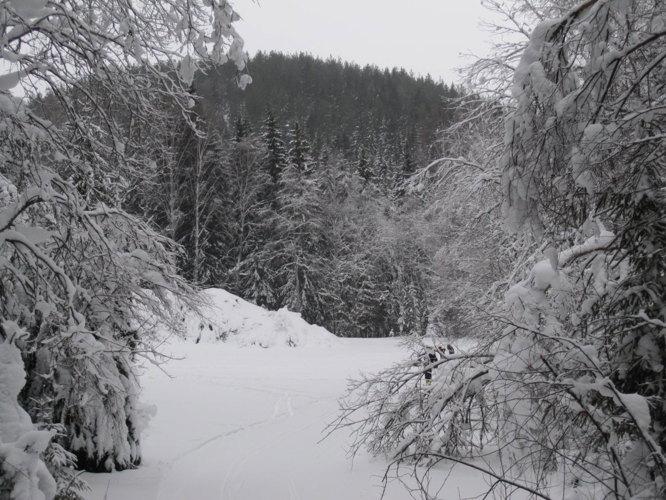 Grå januardag ved Monsetangen