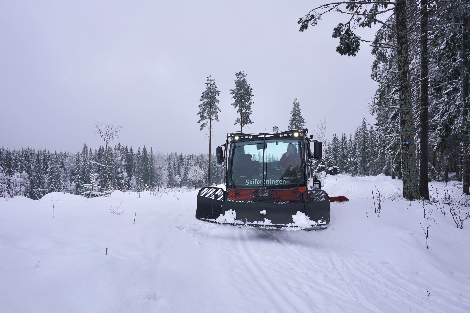 Grått i Linjeløypa i dag