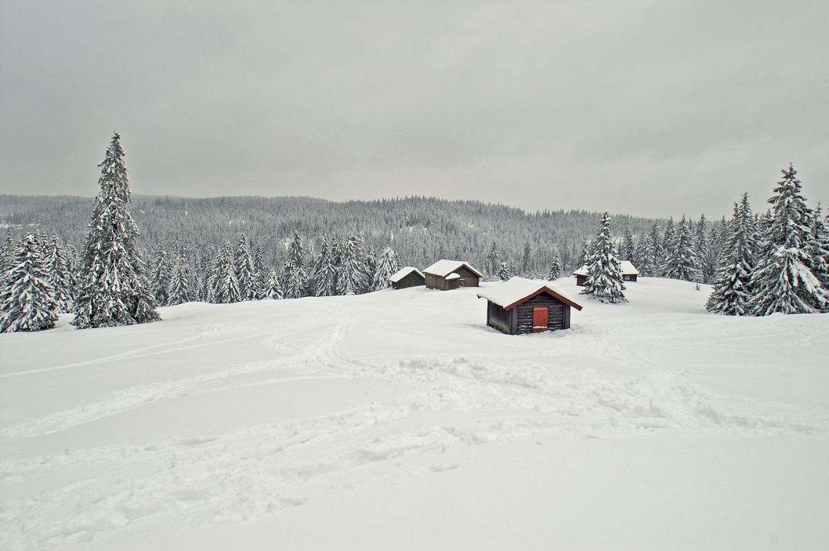 Grått, men vakkert på setervollen