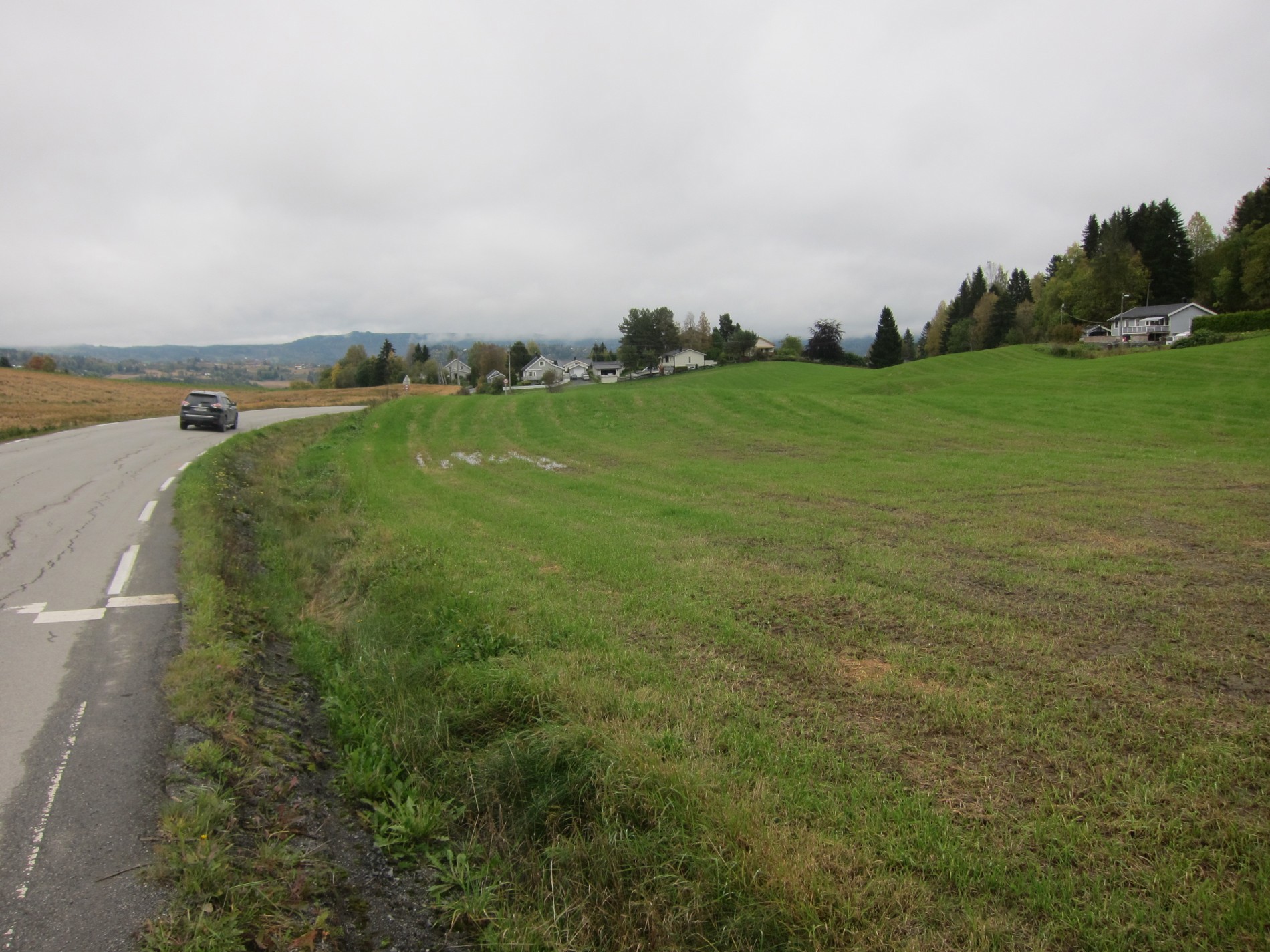 Grått og grønt ved Skøyen