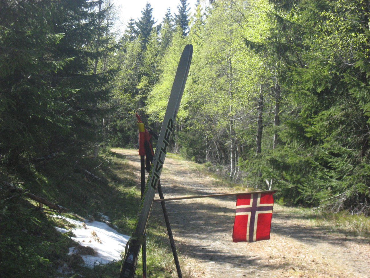 Gratulerer med Dagen