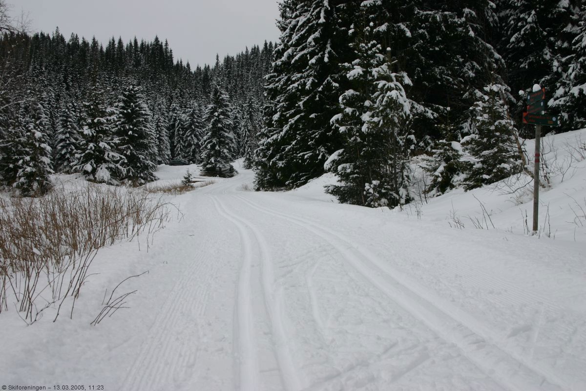 Grenaderløypa krysser Langlia