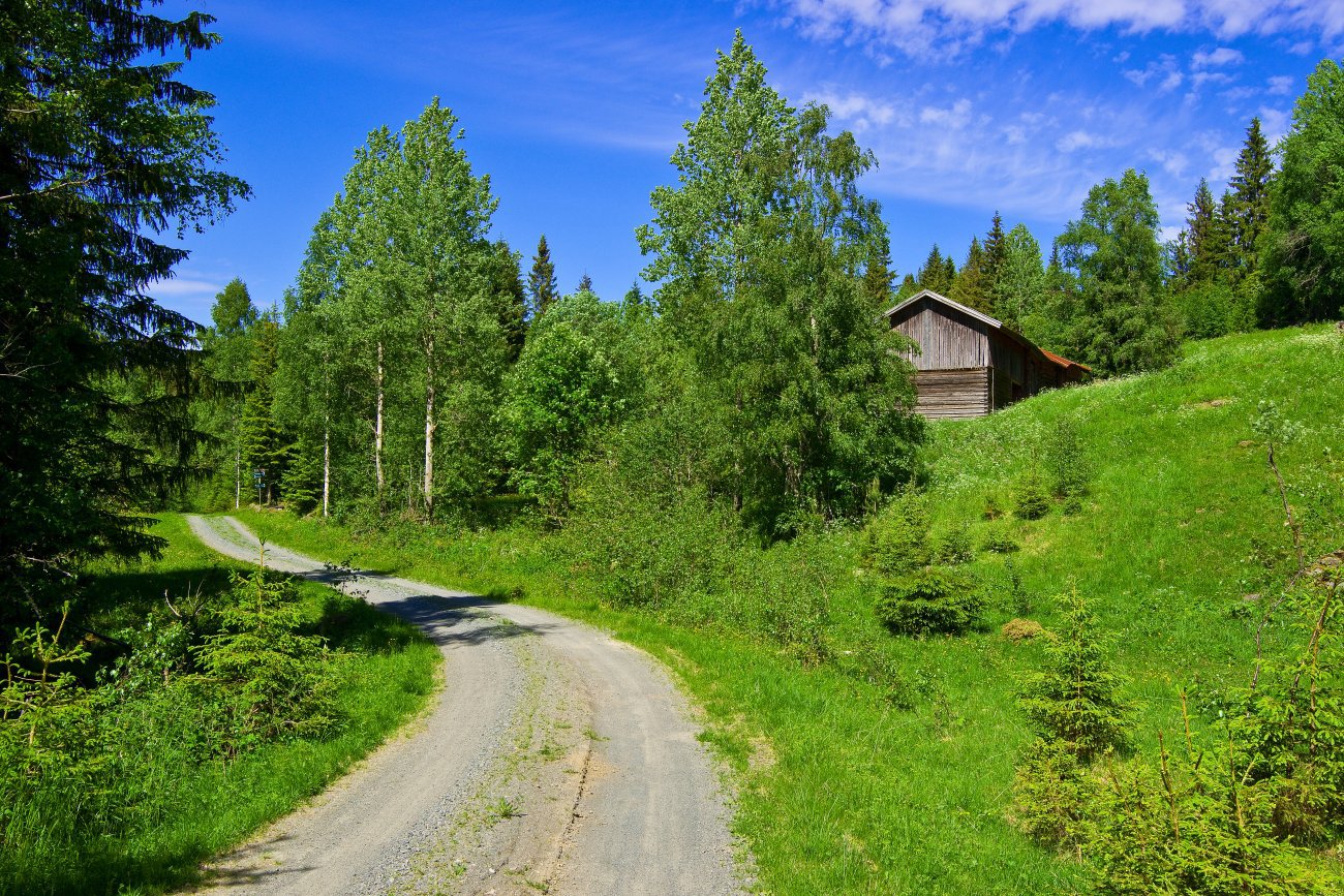 Grønn velkomst på Monsebråtan