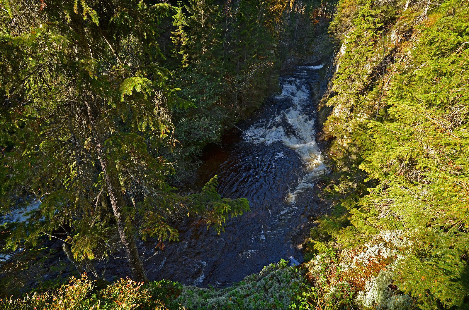 Gryta i Heggelielva: utsikt oppstrøms mot strykene og skåveggen
