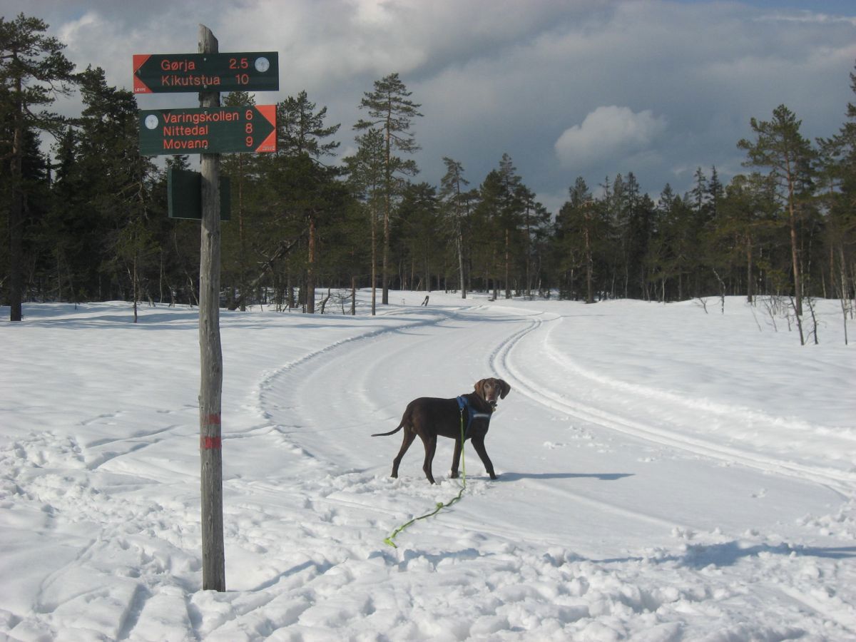 Gryta ved Holmetjern