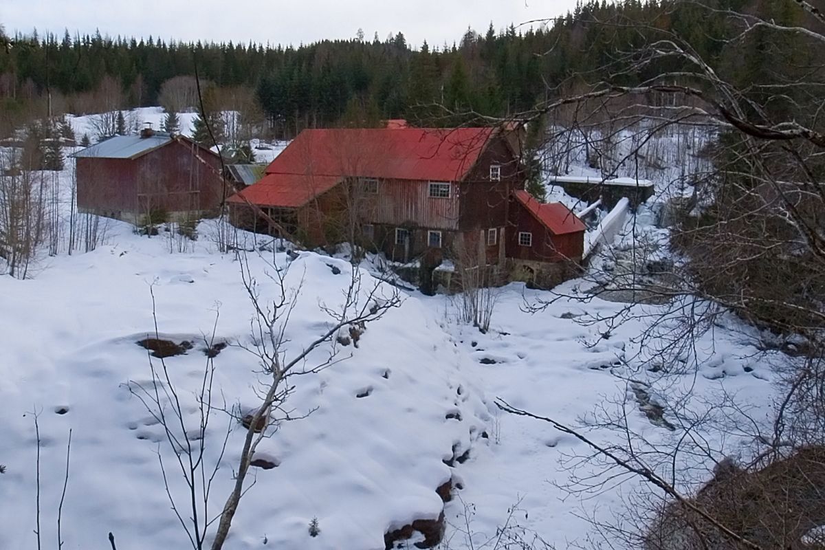 Guribysaga ved Lomma