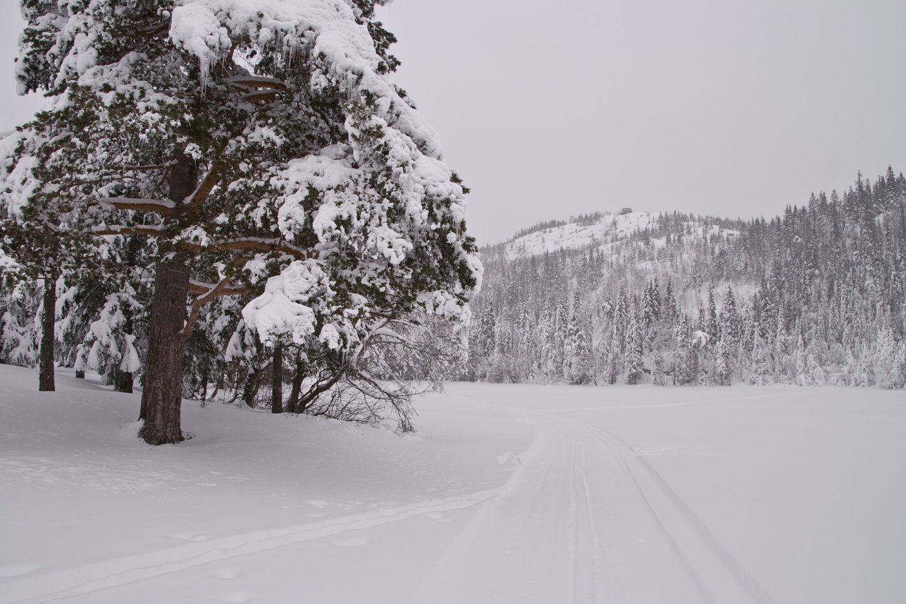 Gyrihaugen rett forut!