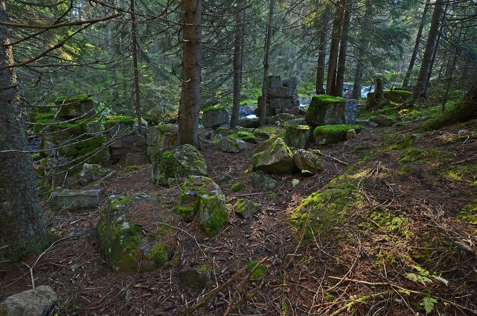 Håkenstadsaga: solide fundamenter