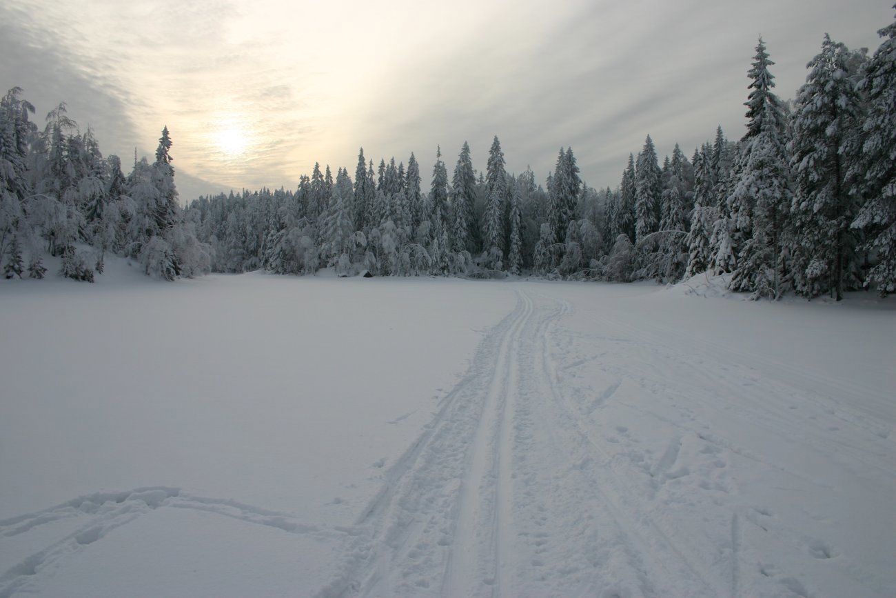 Halssjøen