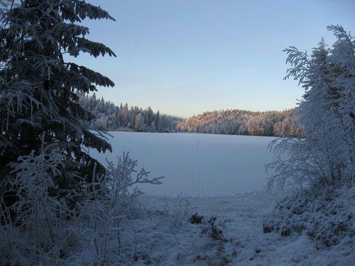 Halssjøen fra sør